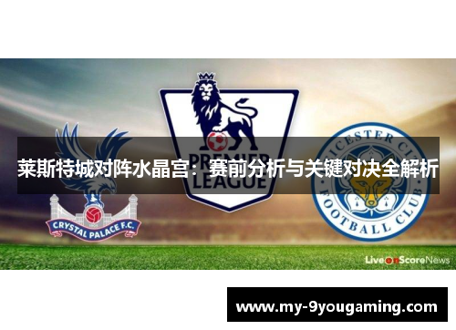 莱斯特城对阵水晶宫：赛前分析与关键对决全解析