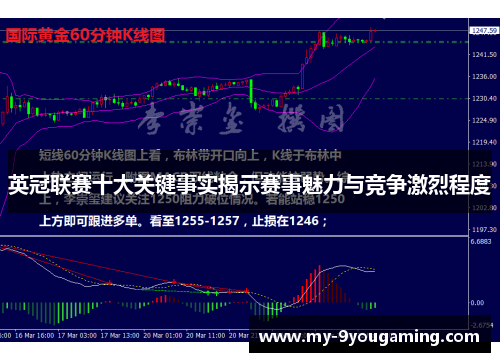 英冠联赛十大关键事实揭示赛事魅力与竞争激烈程度